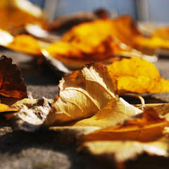 平台在线ddos压力测试